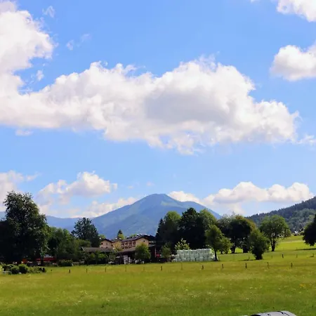 Apartment Green Wall Apartment Kaprun