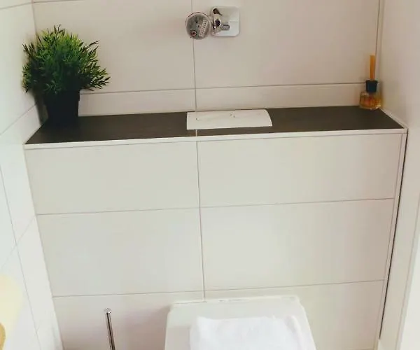 Green Wall Apartment Kaprun Διαμέρισμα Kaprun